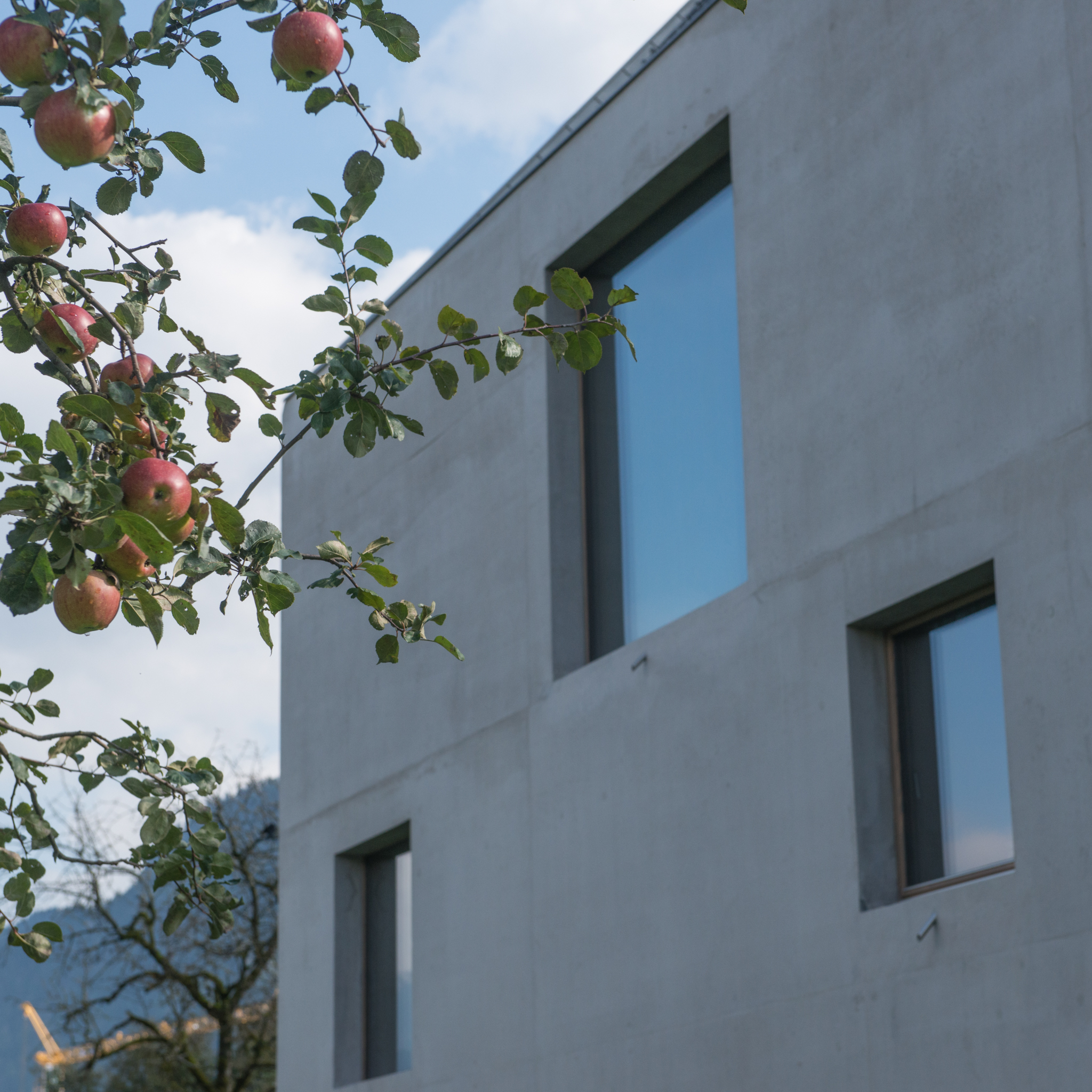 Daniela Jochum_dvj_architektin_EF_Haus J-14